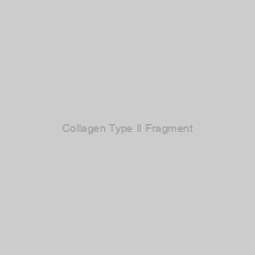 Image of Collagen Type II Fragment